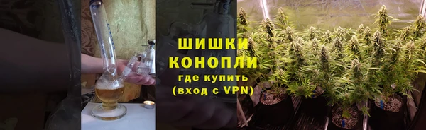 spice Аркадак