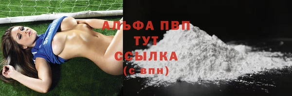 spice Аркадак