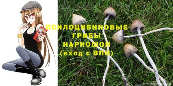 spice Аркадак