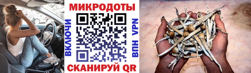 Галлюциногенные грибы мухоморы Купить где Боготол